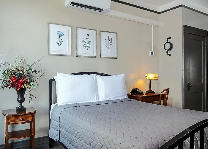 Cheap hotel: Gardner Hotel & Hostel